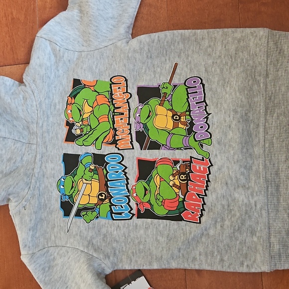 Nwt Teenage Mutant Ninja Turtles Gray Hoodie and Pants Set - Picture 5 of 5